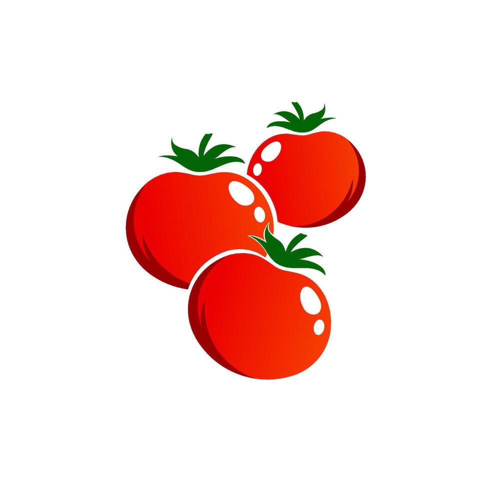 tomate logo modèle illustration conception vecteur