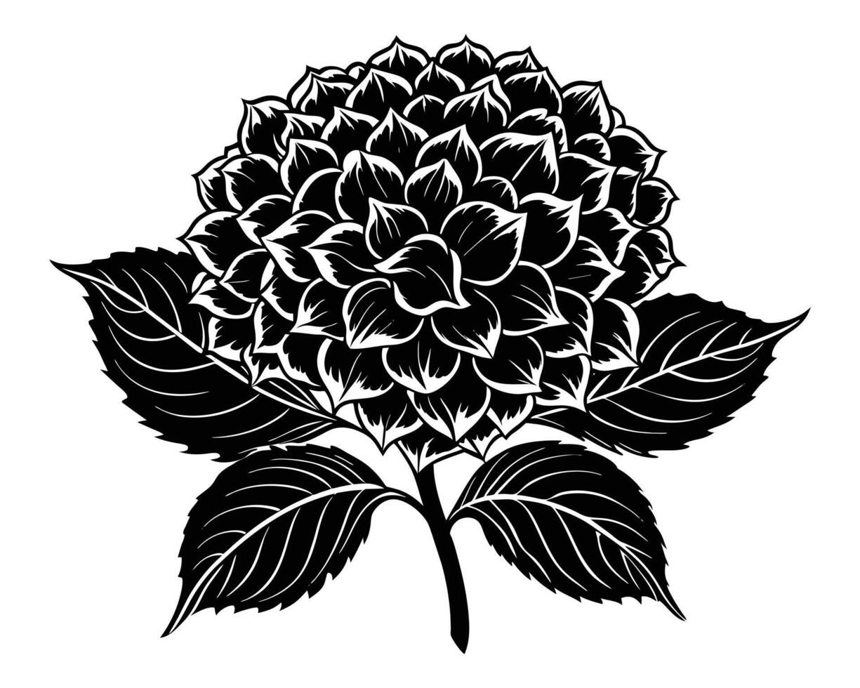 protea fleurs noir silhouettes vecteur