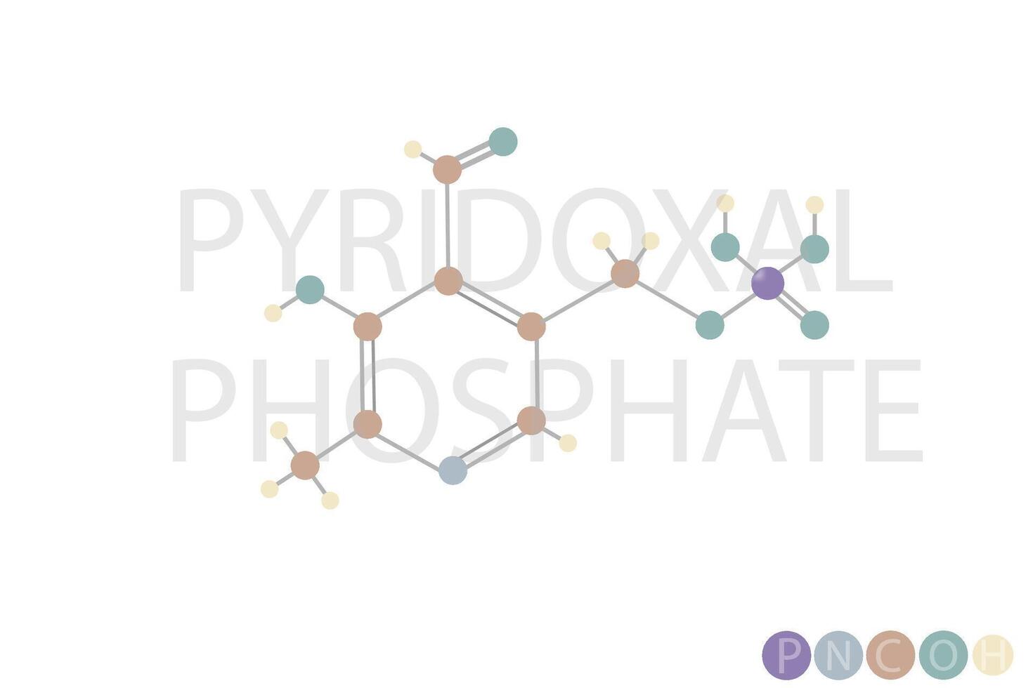 pyridoxal phosphate moléculaire squelettique chimique formule vecteur