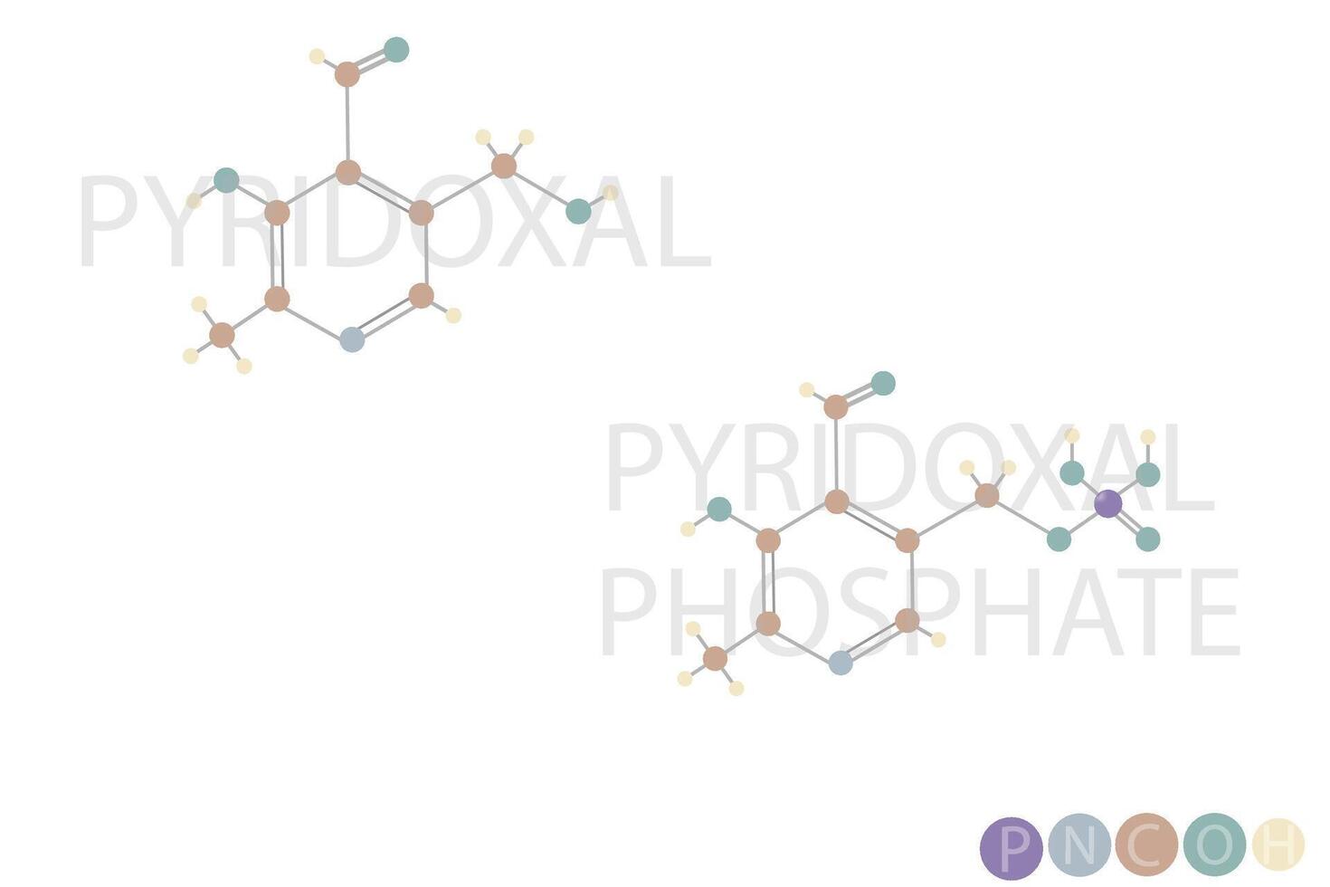 pyridoxal phosphate moléculaire squelettique chimique formule vecteur