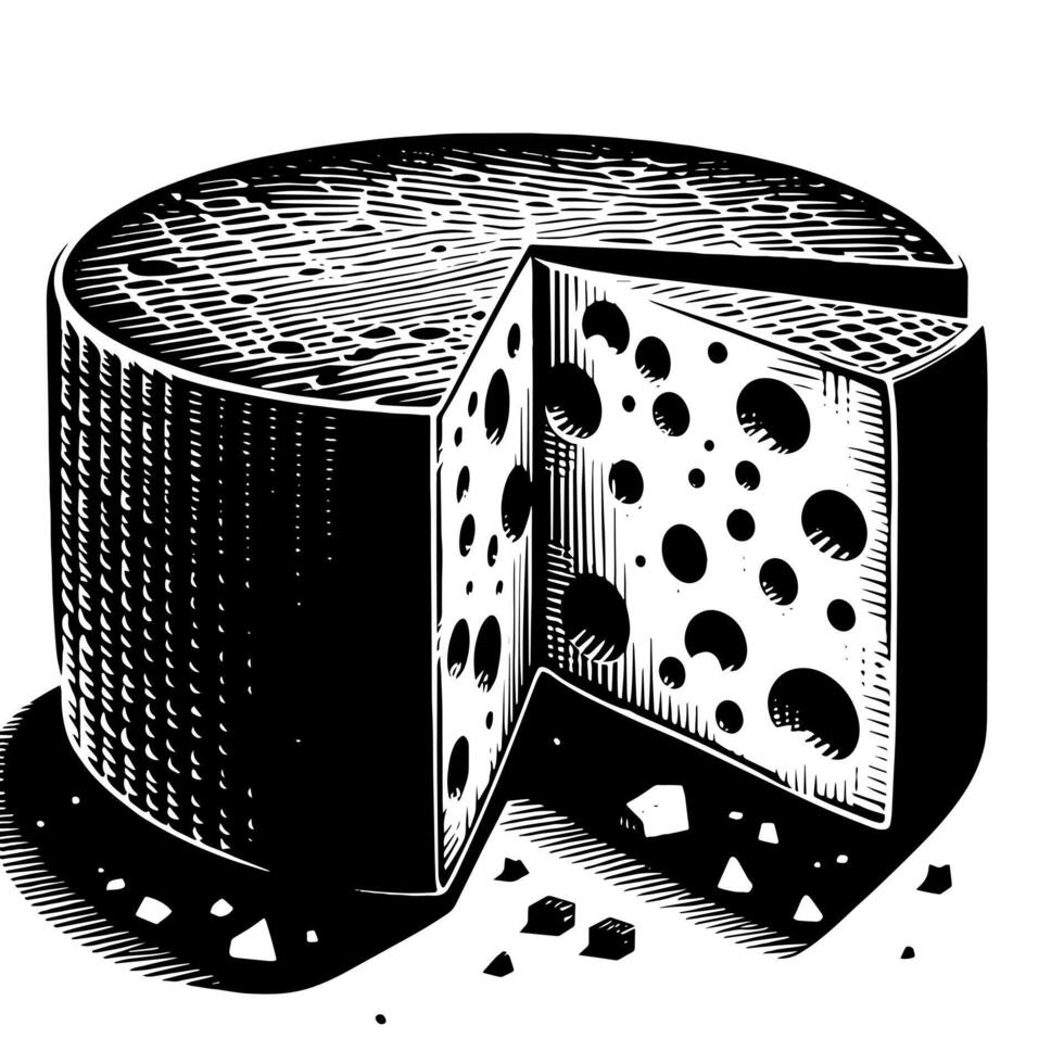 noir et blanc illustration de une traditionnel Suisse fromage vecteur