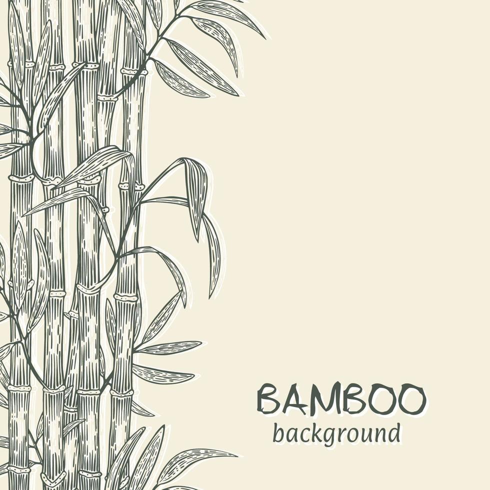 cadre fait de branches de bambou. esquisse à l'encre sur fond clair, gravée à gauche. illustration vectorielle. vecteur