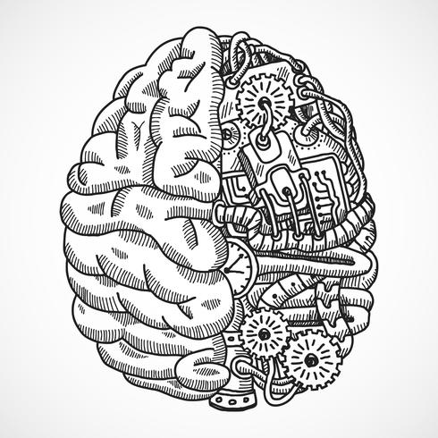 Cerveau comme machine de traitement vecteur