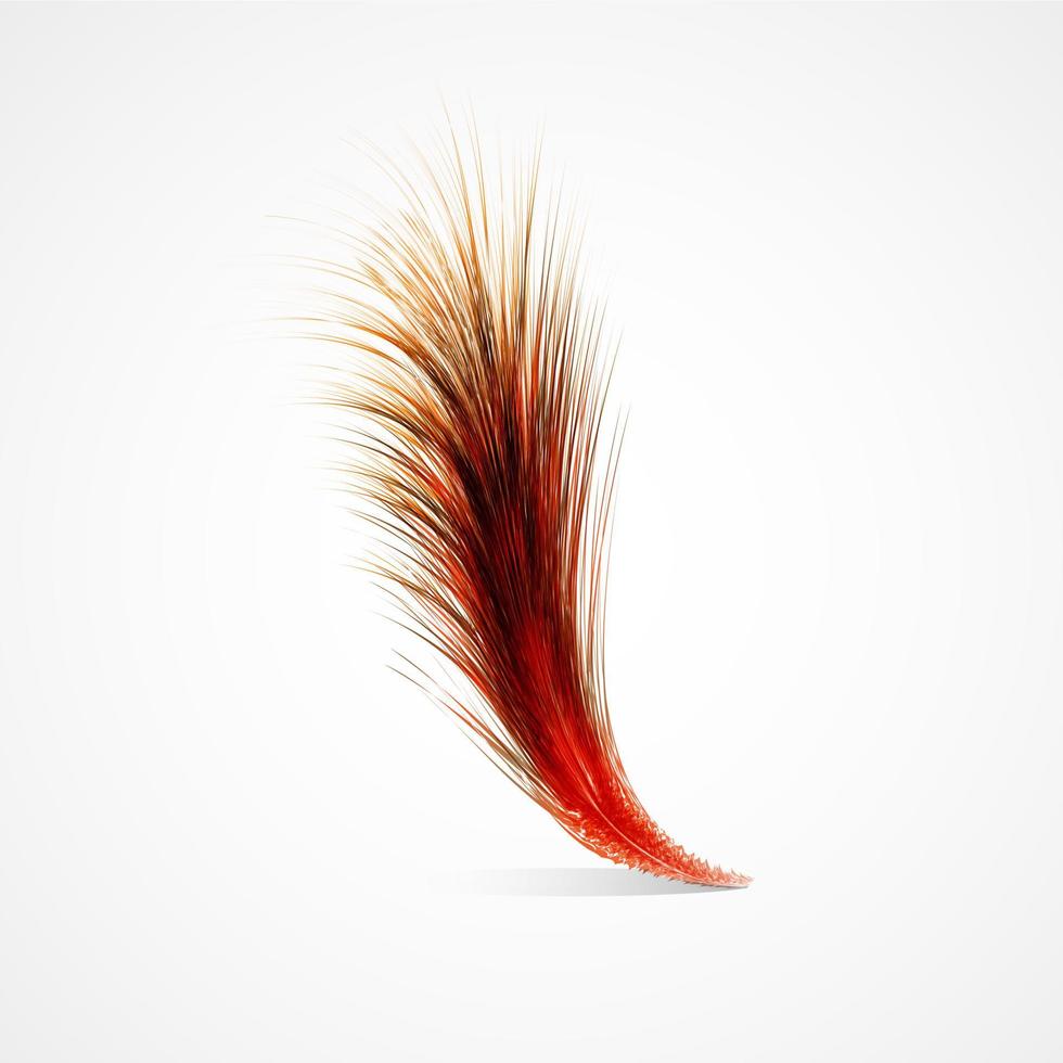 plume d'oiseau rouge vecteur