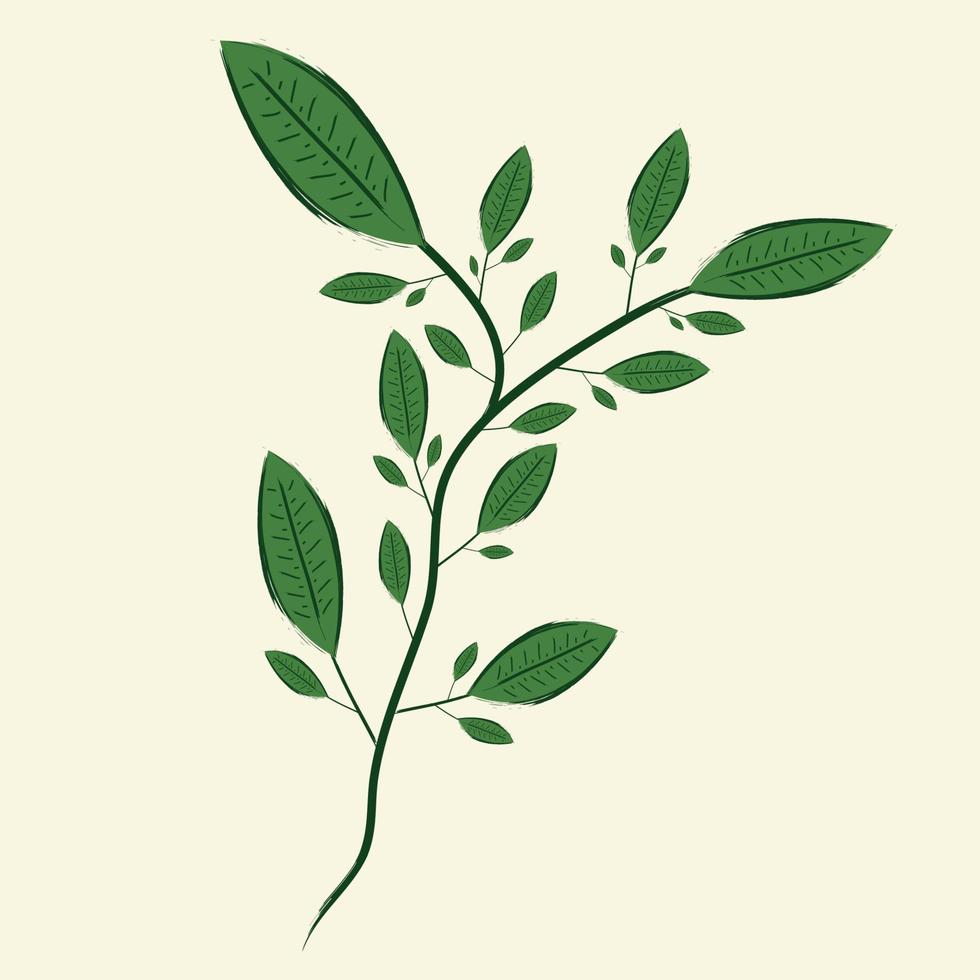 tiges de feuilles et brindilles branche de plante dessinée à la main flore botanique papier peint illustration vectorielle art vecteur