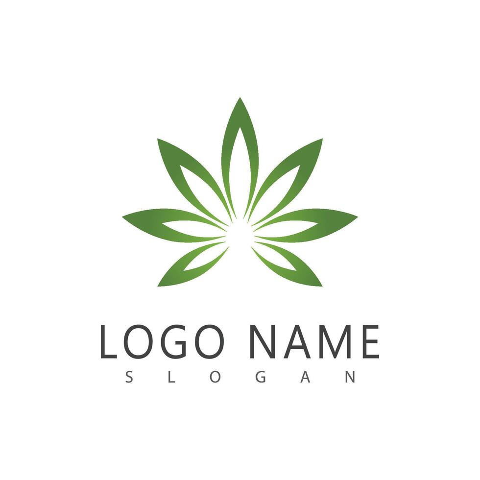 cannabis logo modèle symbole conception vecteur