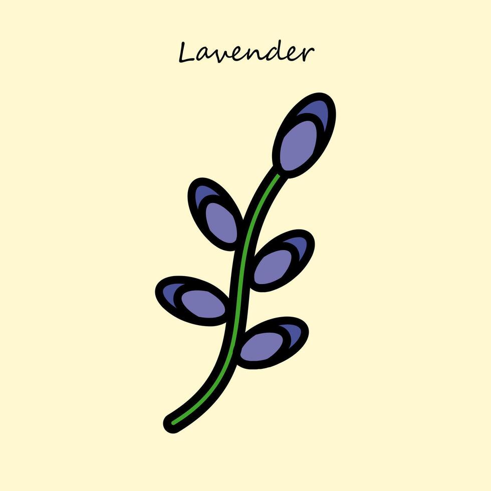 le lavande fleur vecteur