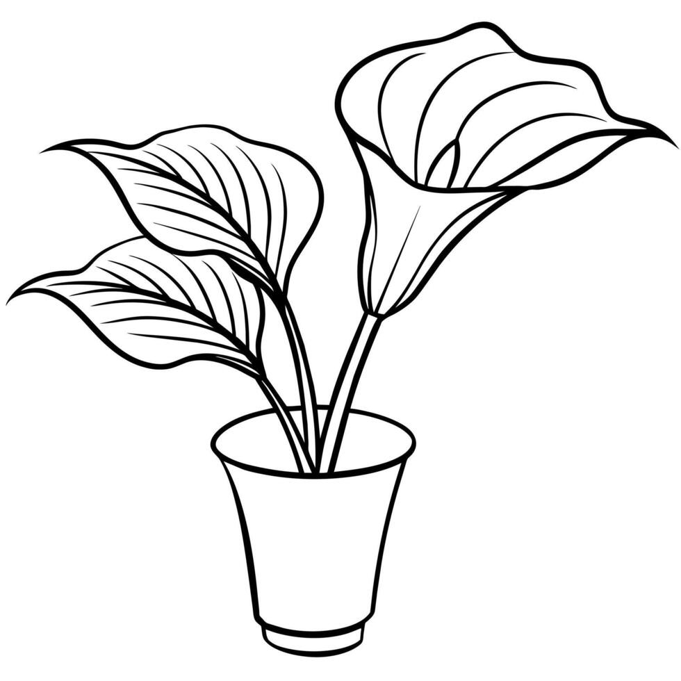 calla lis fleur sur le vase contour illustration coloration livre page conception, calla lis fleur sur le vase noir et blanc ligne art dessin coloration livre pages pour les enfants et adultes vecteur