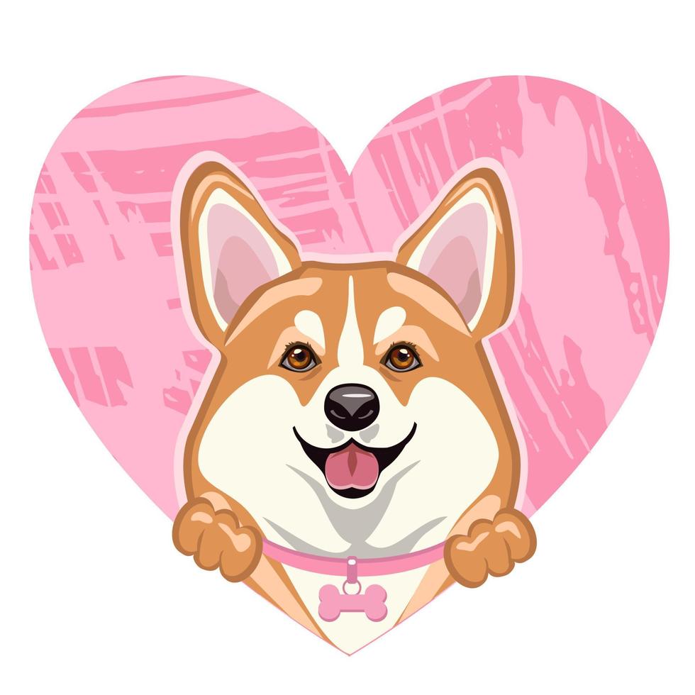 souriant mignon chien de corgi gallois avec un coeur rose. vecteur
