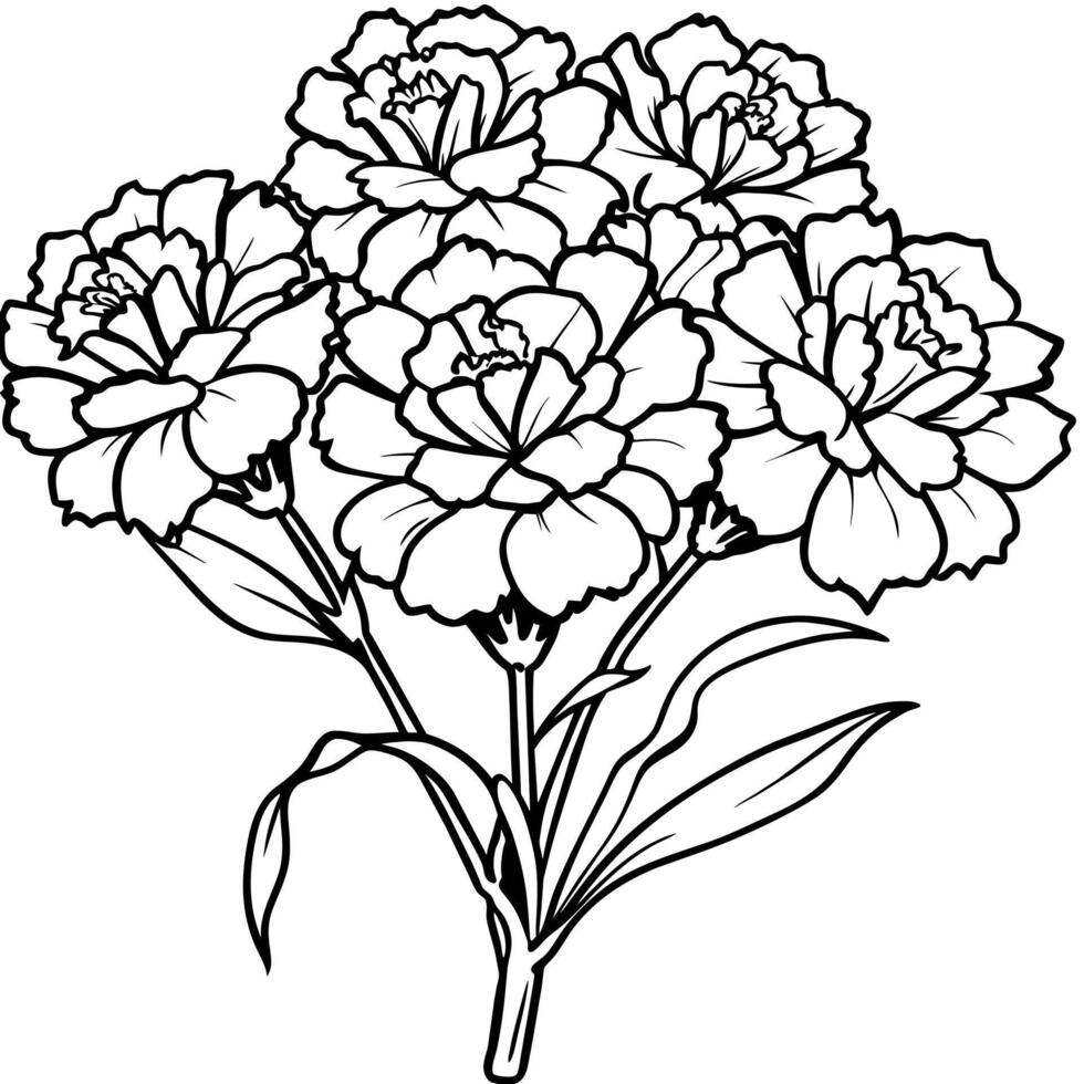 œillet fleur bouquet contour illustration coloration livre page conception, œillet fleur bouquet noir et blanc ligne art dessin coloration livre pages pour les enfants et adultes vecteur