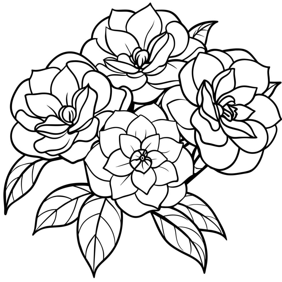 camélia fleur bouquet contour illustration coloration livre page conception, camélia fleur bouquet noir et blanc ligne art dessin coloration livre pages pour les enfants et adultes vecteur