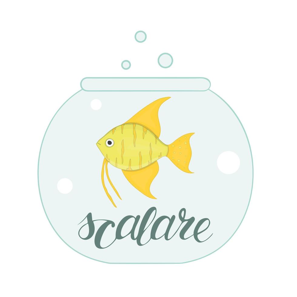 illustration vectorielle de poisson dans l'aquarium avec lettrage de nom de poisson. jolie photo de scalare pour animalerie ou illustration pour enfants vecteur