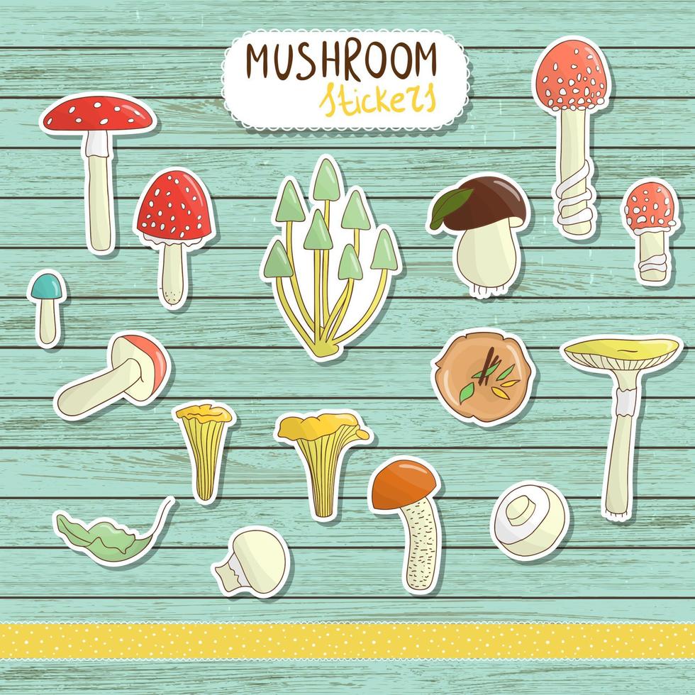 ensemble de vecteurs d'autocollants de champignons colorés sur fond de bois bleu. collection de tremble lumineux isolé, coupe orange, champignon, chanterelle, champignon vénéneux, chapeau de mort, champignon. style de dessin animé d'éléments alimentaires vecteur