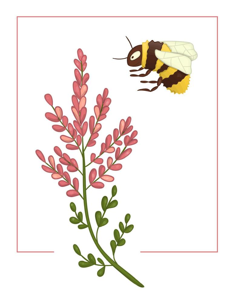illustration vectorielle de bruyère colorée avec bourdon. image colorée lumineuse de fleur sauvage. bon pour la conception naturelle organique. effet aquarelle. vecteur