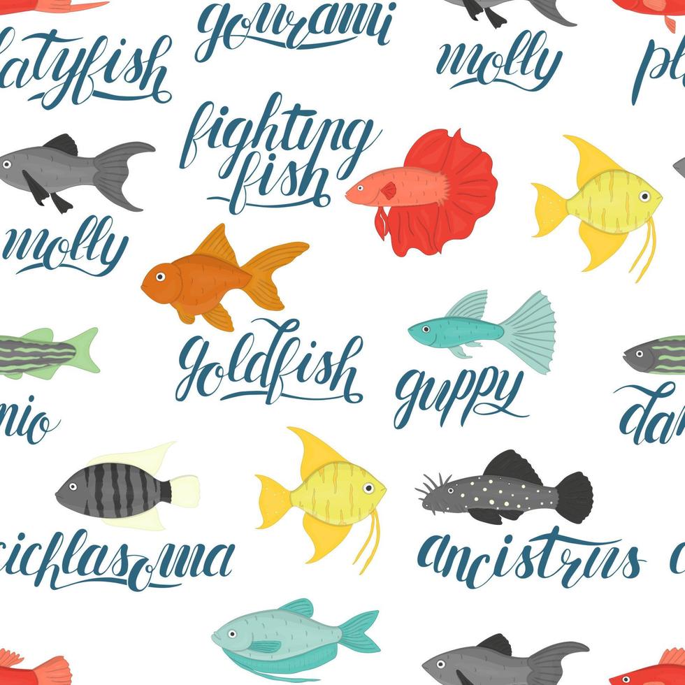 vecteur de couleur transparente motif de poissons d'aquarium avec lettrage. arrière-plan répétitif avec molly, guppy, platyfish, poisson rouge, danio, scalare, cichlasoma, ancistrus, gourami. illustration sous-marine