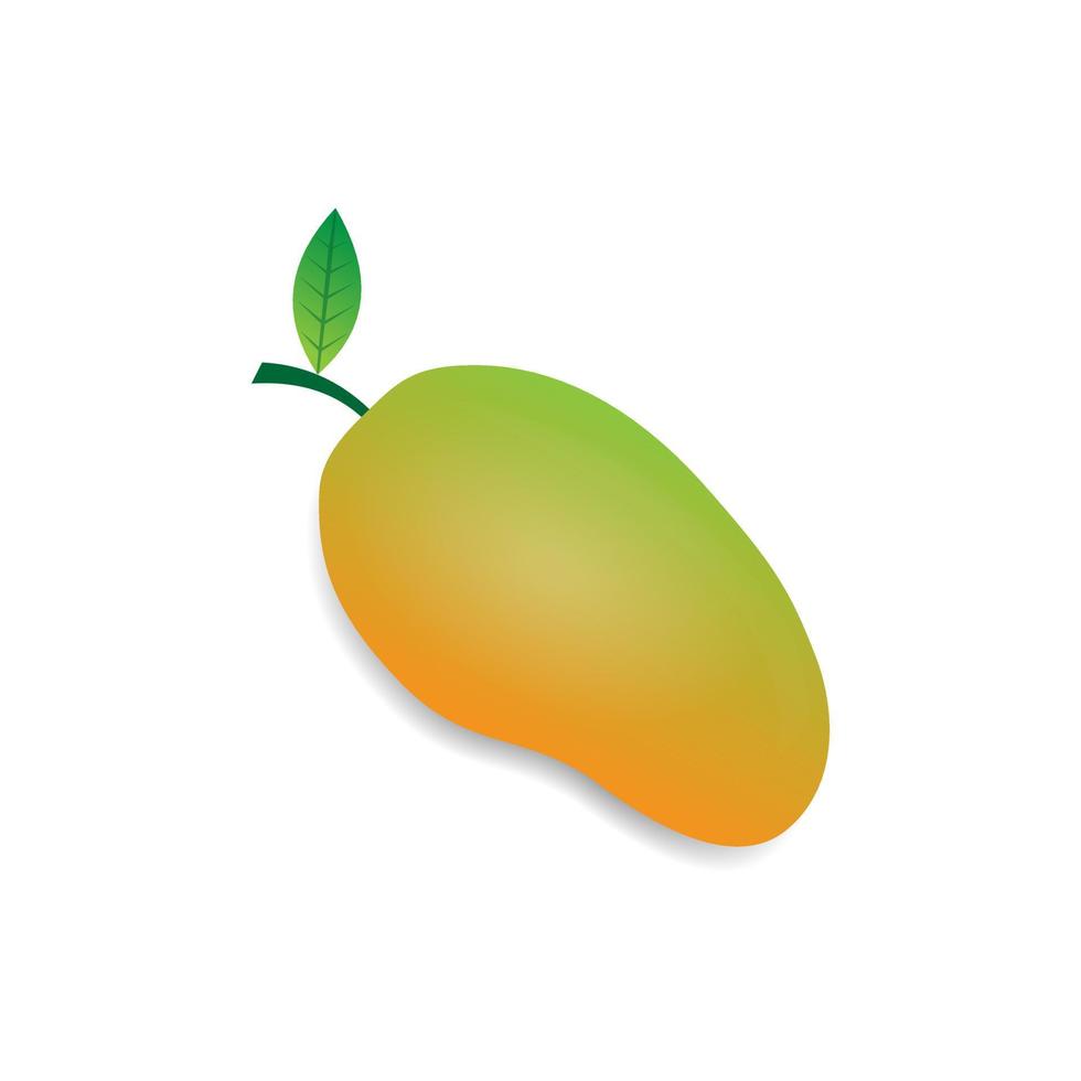 illustration vectorielle de la conception de fruits de mangue. texture orange verte. blanc isolé. conception de fruits moderne vecteur