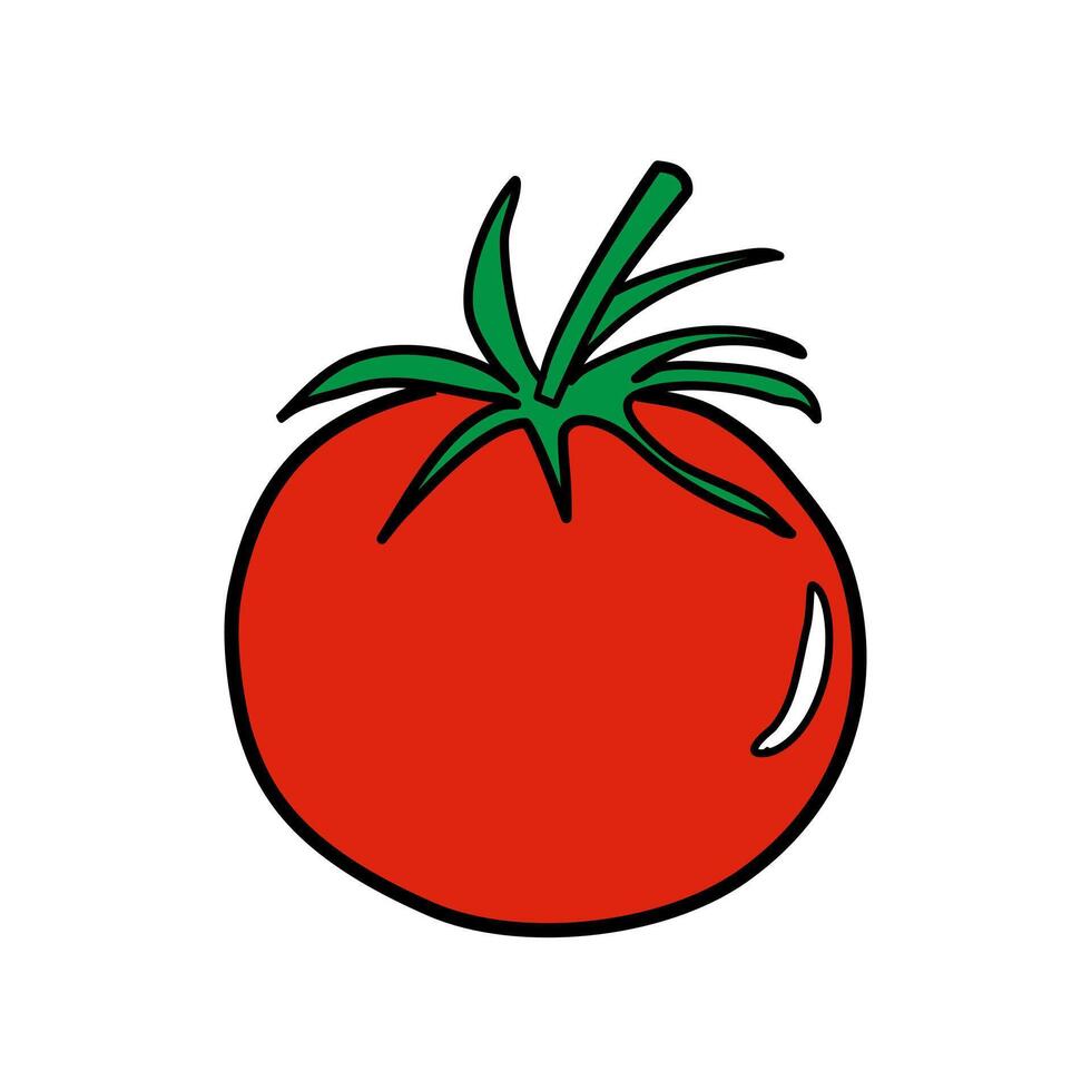 rouge tomate illustration isolé sur blanc Contexte. vecteur