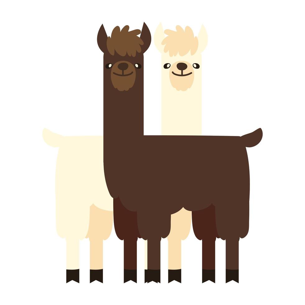 animal de lamas de dessin animé vecteur