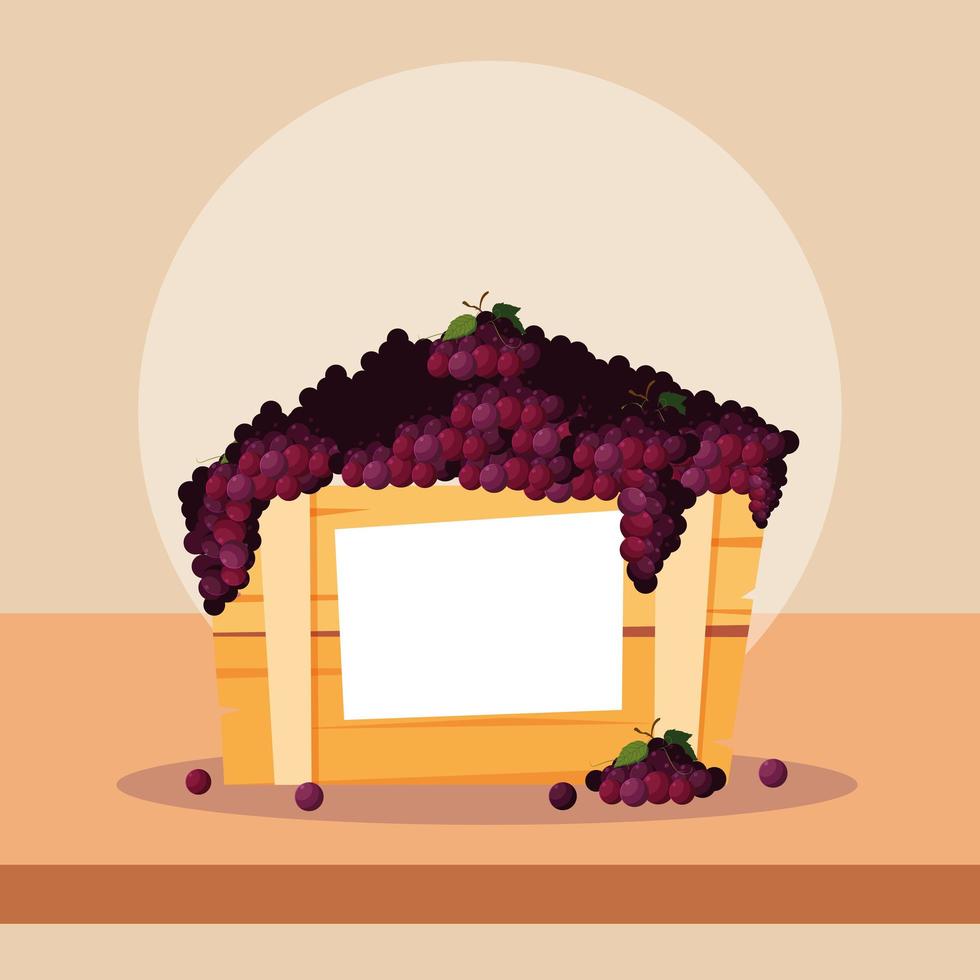 fruits de raisins frais dans une caisse en bois vecteur