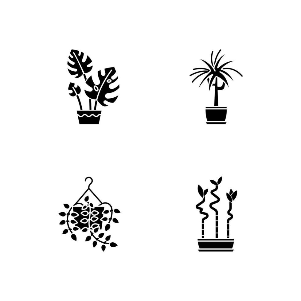 plantes domestiquées icônes de glyphe noir sur un espace blanc. plantes d'intérieur. plantes ornementales d'intérieur. pothos, dracaena. monstera, bambou porte-bonheur. symboles de silhouette. illustration vectorielle isolée vecteur