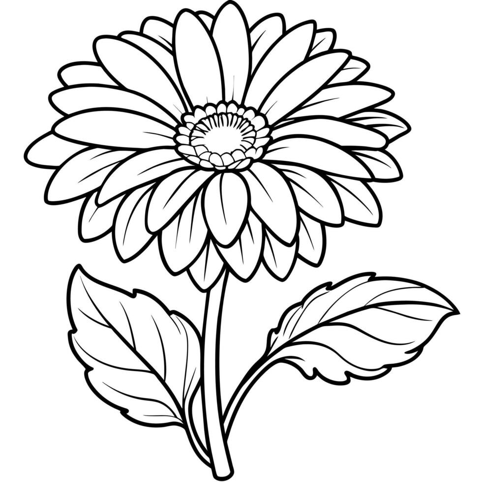 gerbera fleur plante contour illustration coloration livre page conception, gerbera fleur plante noir et blanc ligne art dessin coloration livre pages pour les enfants et adultes vecteur