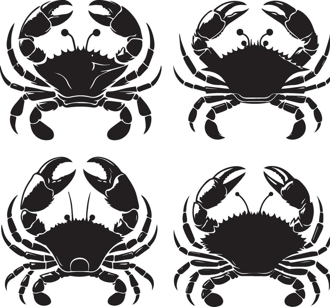 Crabes' illustration. Crabes silhouette sur blanc Contexte vecteur