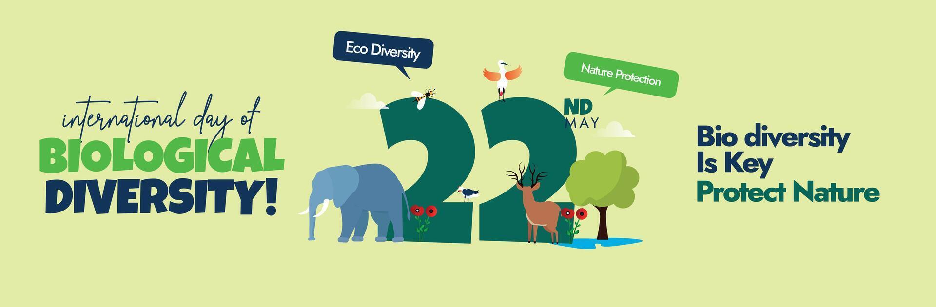 22e mai international biologique la diversité couverture bannière. international la biodiversité journée bannière, social médias Publier avec 22 écrit dans gros Police de caractère différent vivant espèce autour il éléphant, des arbres, des oiseaux vecteur