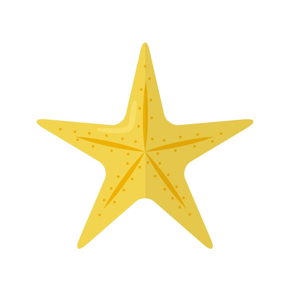 étoile de mer de couleur jaune vecteur