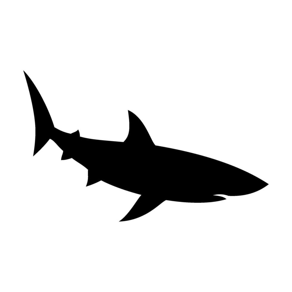 requin silhouette plat illustration sur isolé Contexte vecteur