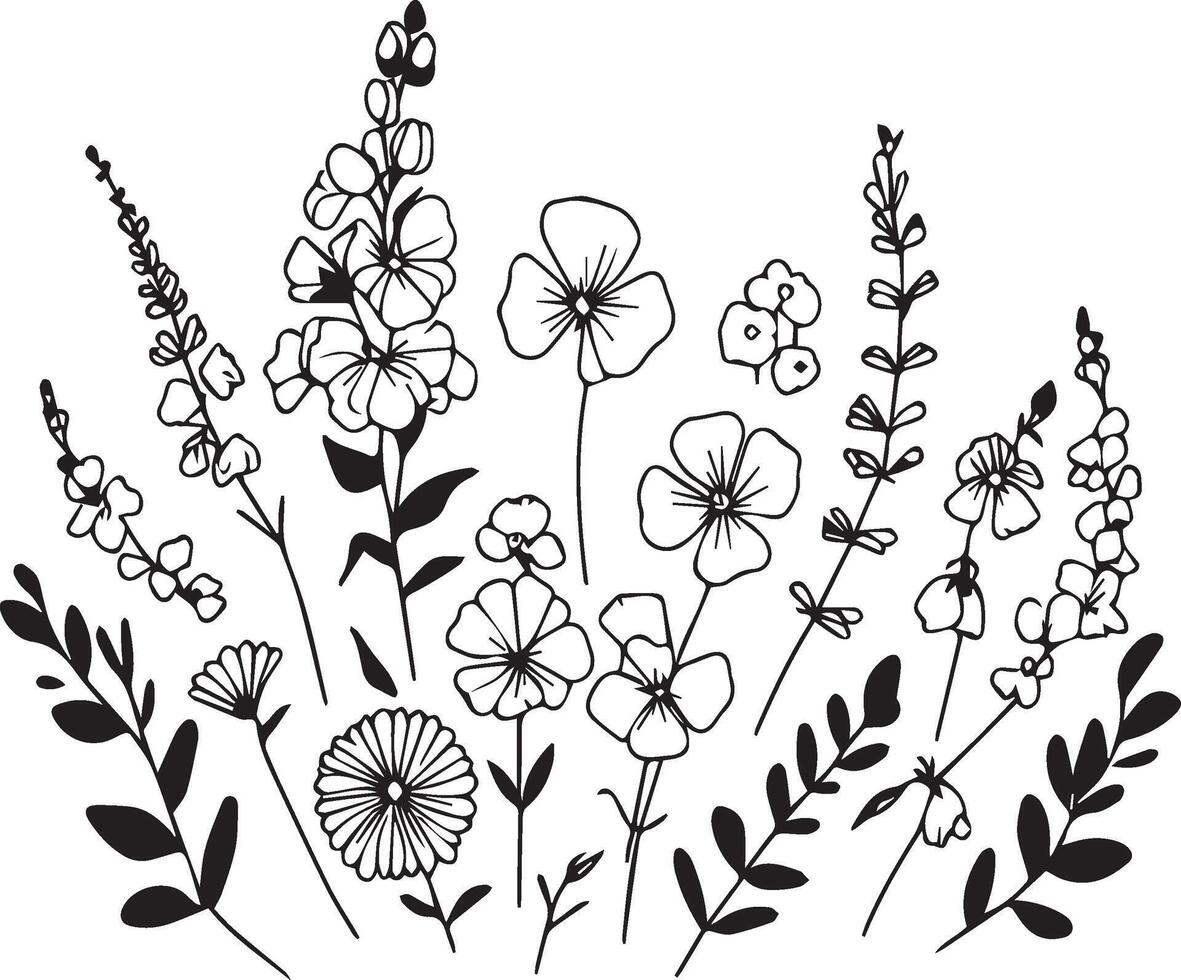 ensemble de avril naissance fleur sucré pois et Marguerite noir et blanc art imprimable, main tiré botanique illustration, magnifique sucré pois fleur avec feuilles ligne art plante branche botanique art vecteur