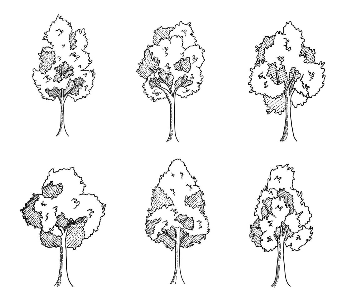 dessin d'illustration d'arbres vecteur