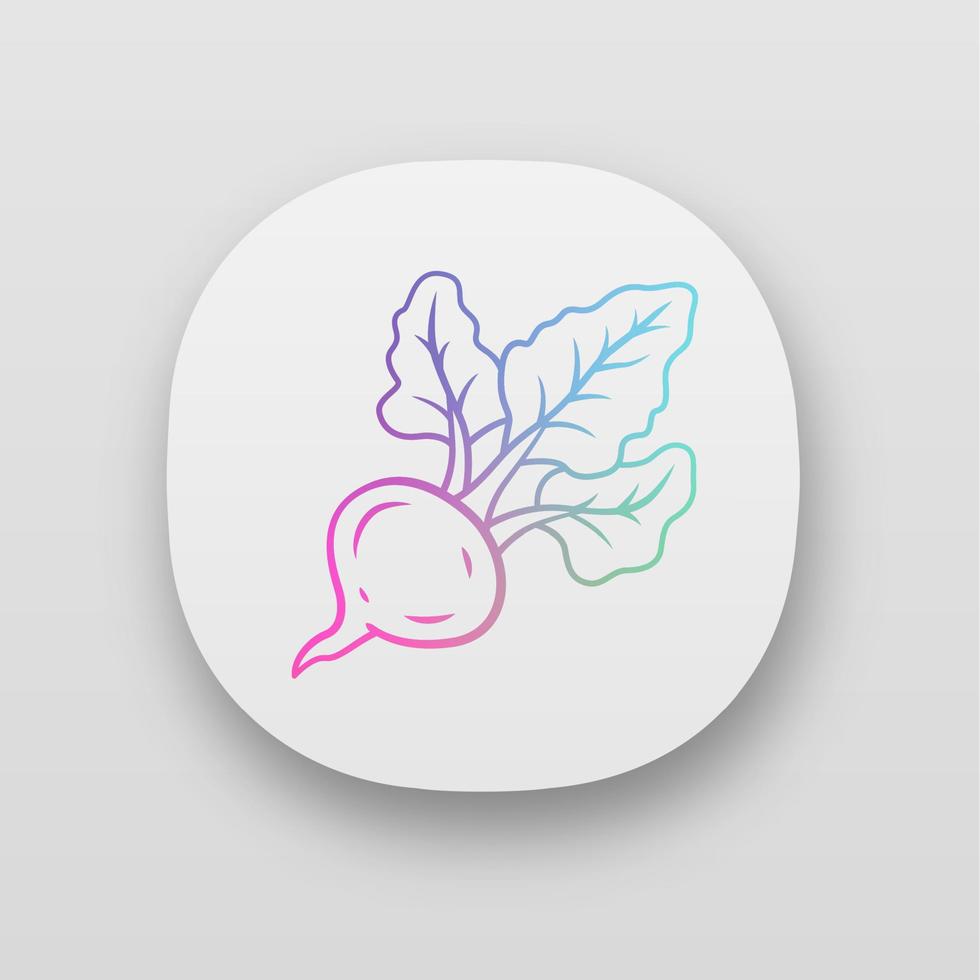 icône de l'application betterave. plante agricole. ingrédient de la soupe. vitamine. alimentation biologique. nourriture saine. alimentation végétarienne et végétalienne. interface utilisateur ui ux. applications web ou mobiles. illustrations vectorielles isolées vecteur