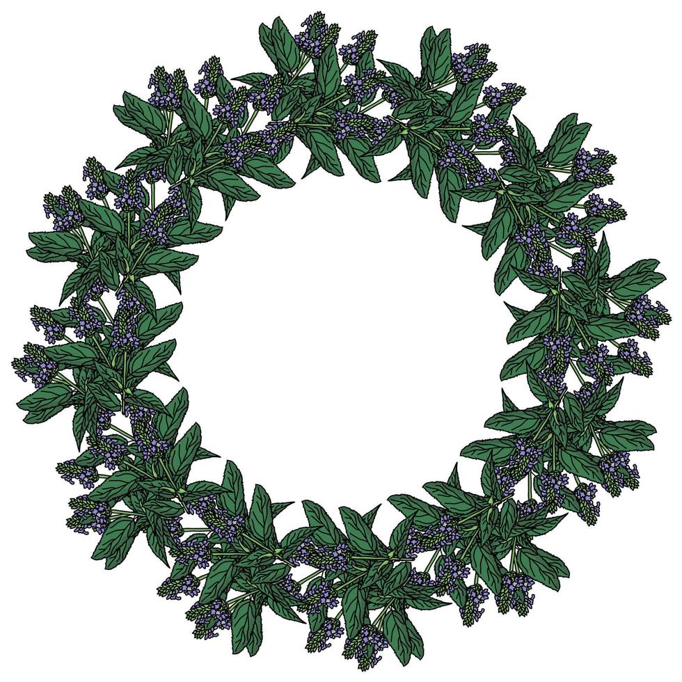 couronne d'herbes avec de petites fleurs violettes et des moulures vertes juteuses, cadre rond décoratif de brindilles fleuries vecteur