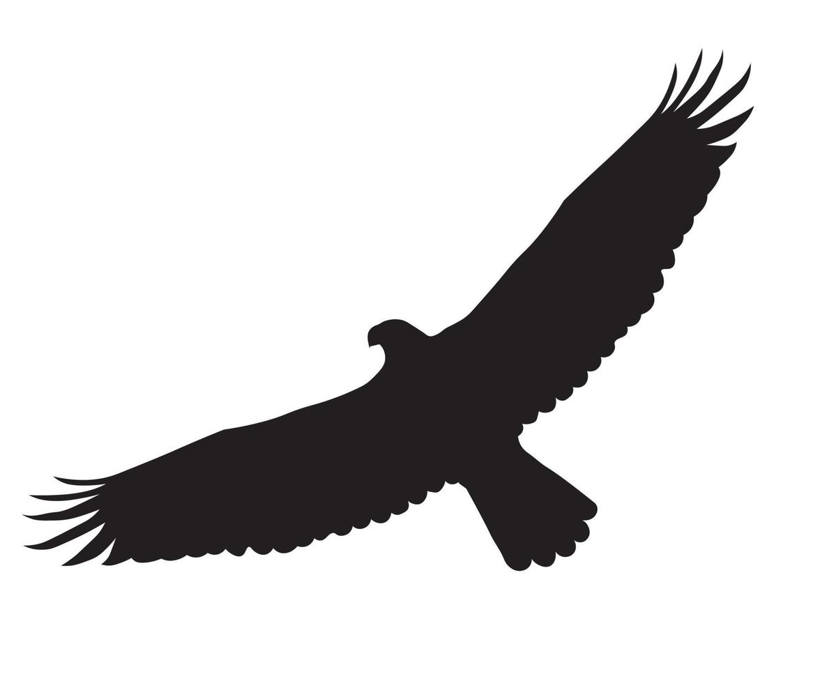 silhouette noire d'un aigle en vol vecteur