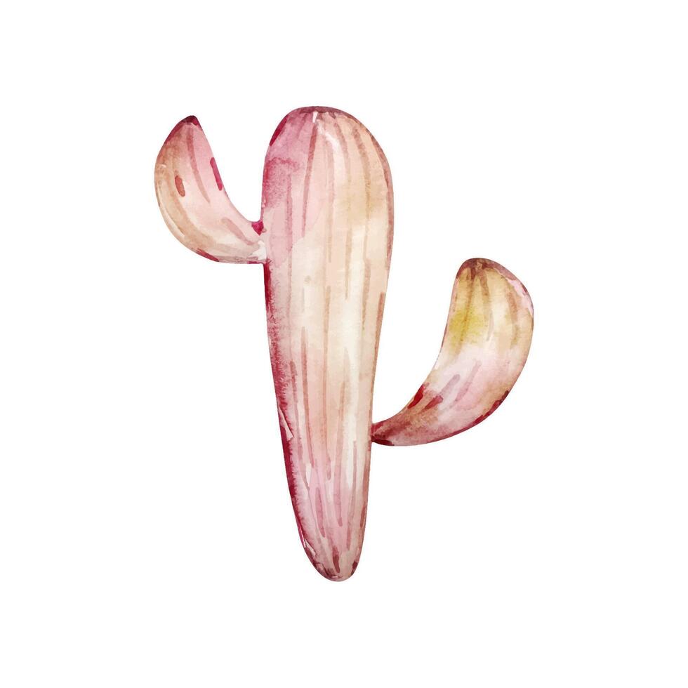 aquarelle cactus, désert mexicain les plantes vecteur