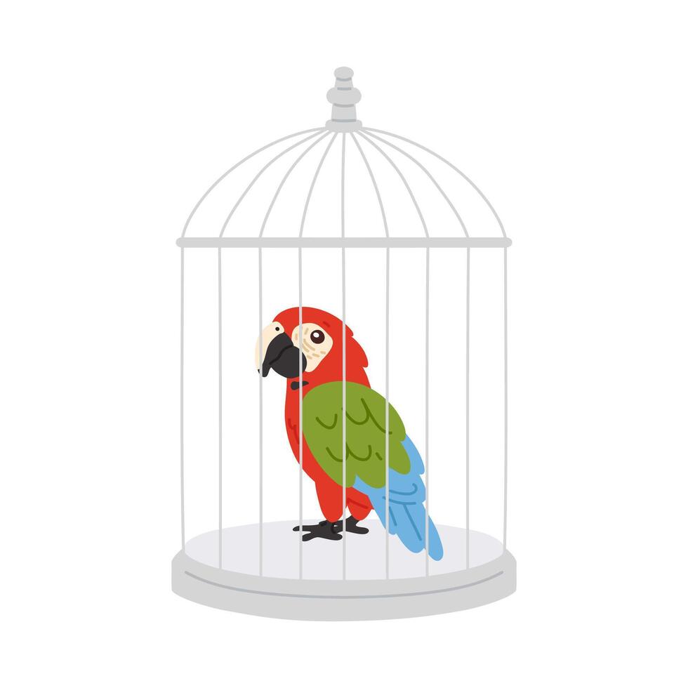 ara perroquet dans cage vecteur