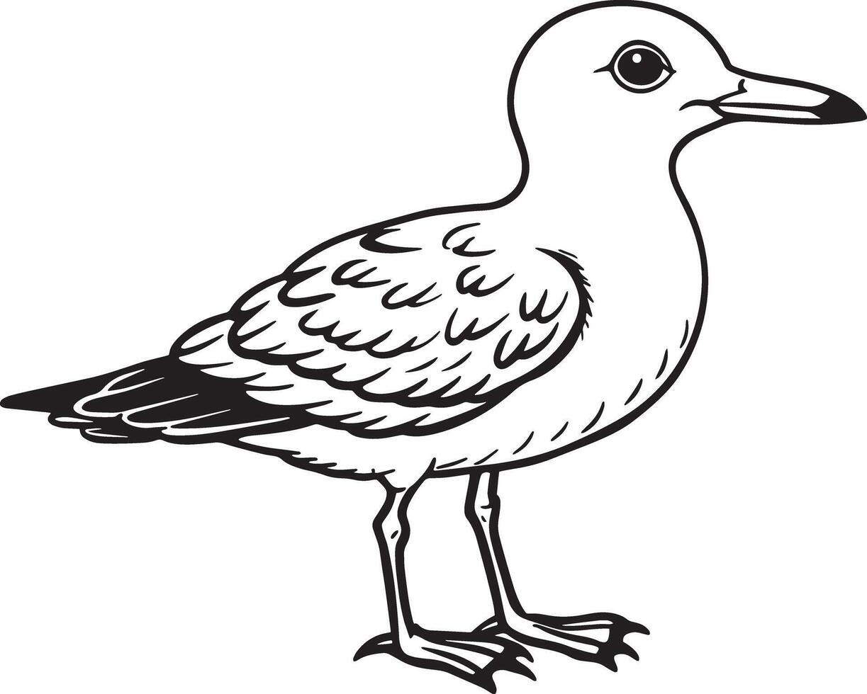 mouette - noir et blanc dessin animé illustration, art vecteur