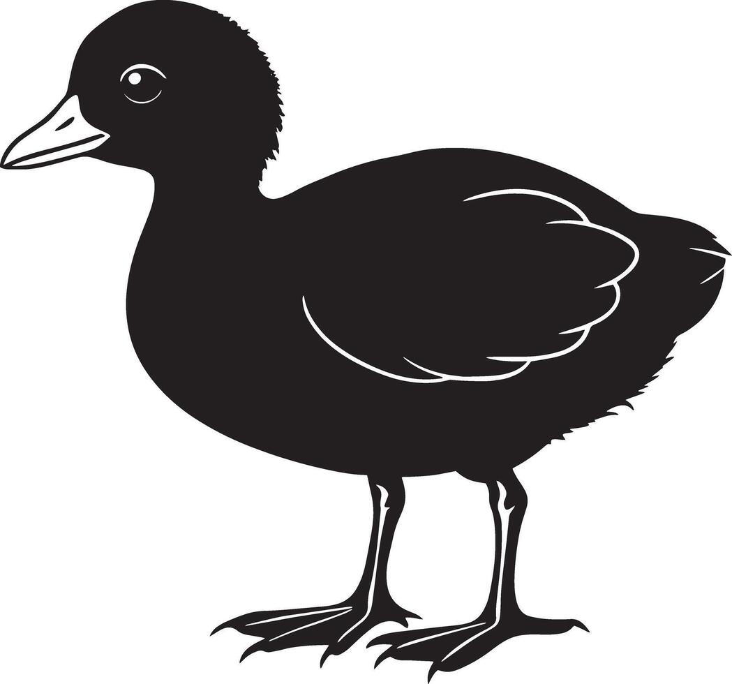 bébé canard noir silhouette sur une blanc arrière-plan, illustration, vecteur