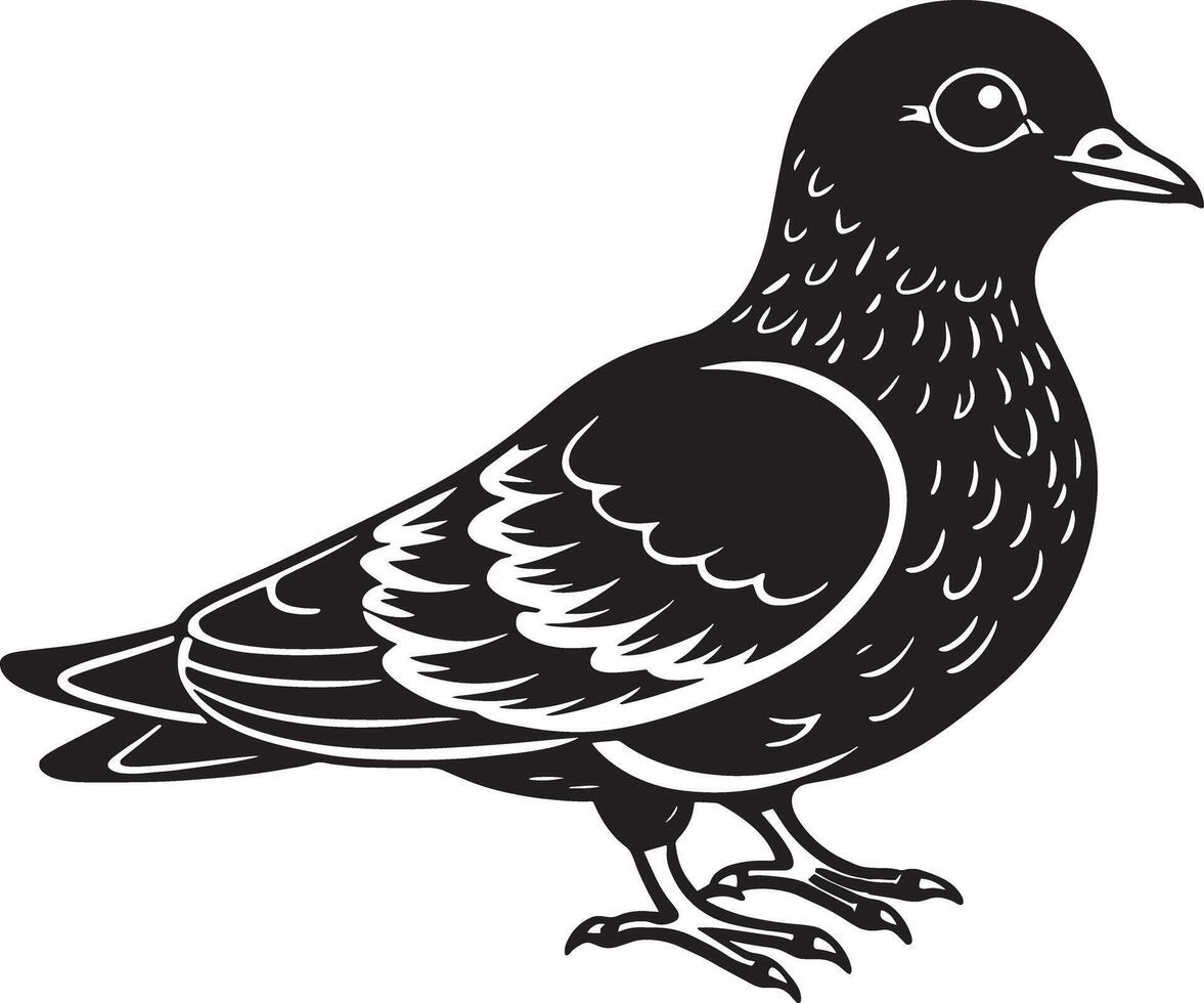 Pigeon - noir et blanc illustration, isolé sur blanc Contexte vecteur
