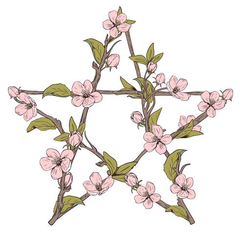 Signe pentagramme fait avec des branches d&#39;un arbre en fleurs. Fleur de botanique rose dessiné à la main sur fond blanc. vecteur
