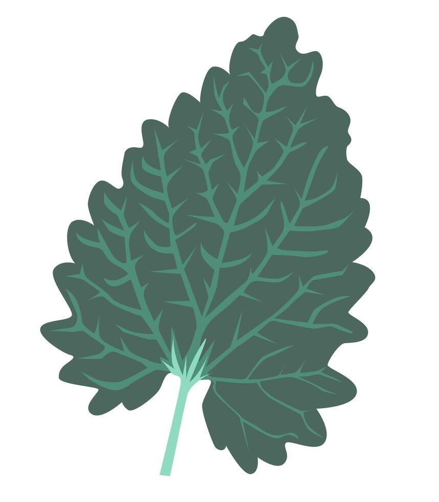 abstrait vert feuille avec veines dans plat conception. saisonnier forêt arbre feuillage. illustration isolé. vecteur