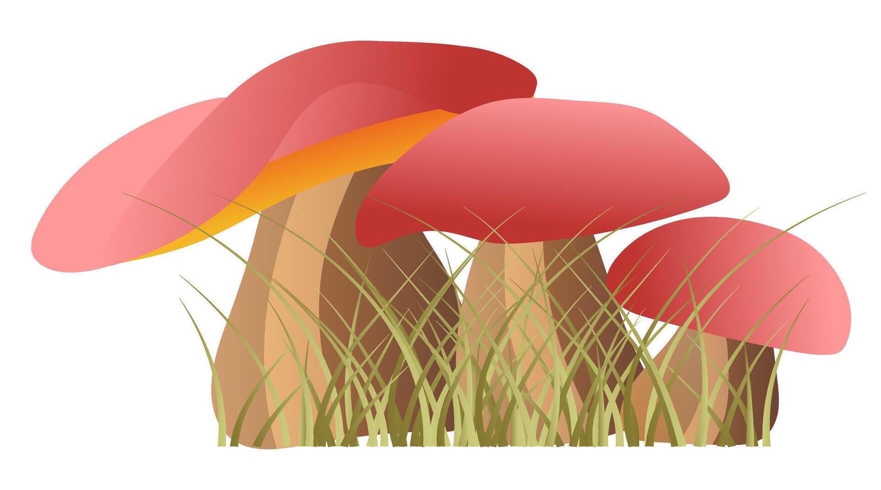 forêt champignons dans herbe dans plat conception. champignon avec rouge casquettes dans herbe. illustration isolé. vecteur