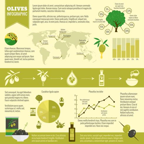 Set infographie olives vecteur