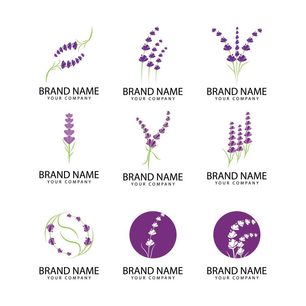 Aromatique florale lavande logo vecteur icône illustration design