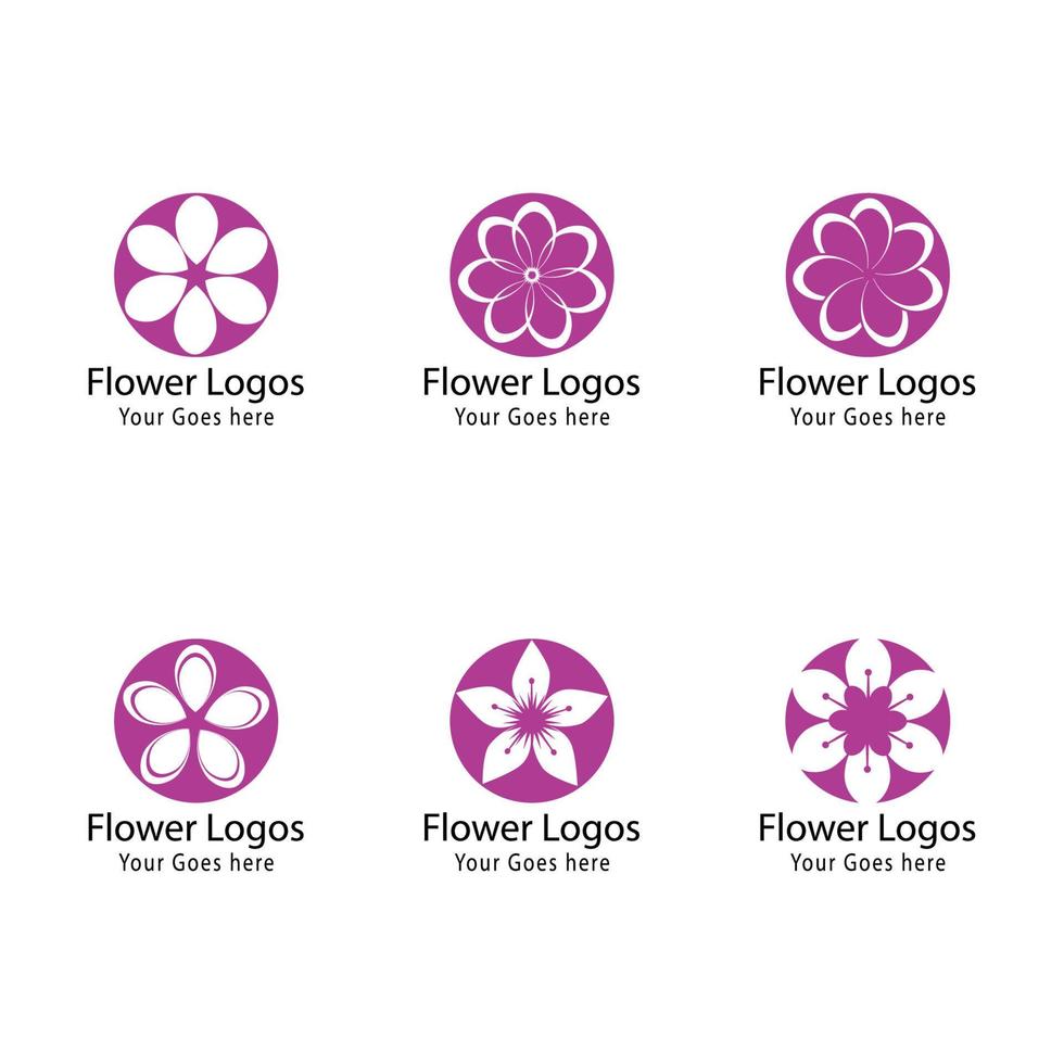 modèle d'illustration de conception de fleurs d'icône de plumeria de beauté vecteur