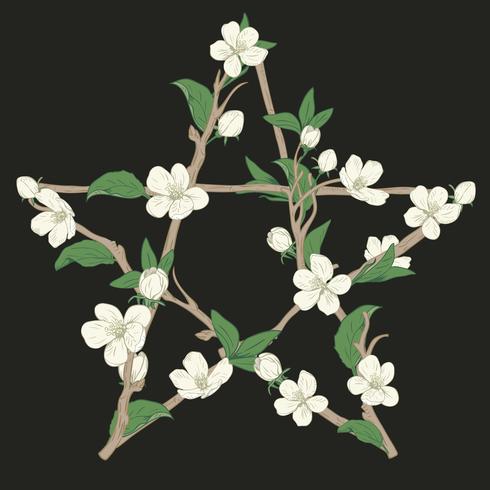 Signe pentagramme fait avec des branches d&#39;un arbre en fleurs. Fleurs blanches botaniques dessinés à la main sur fond noir. vecteur