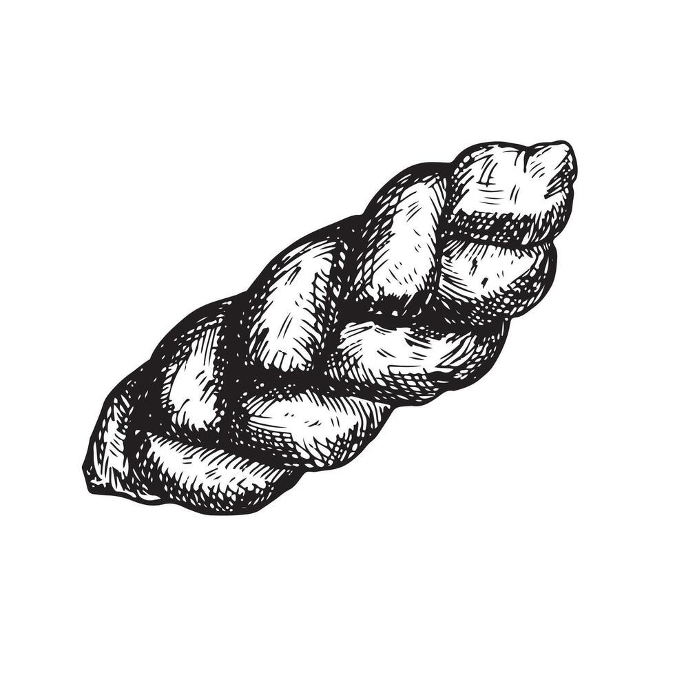 graphique illustration de brioche pain . noir et blanc esquisser sur une blanc Contexte. adapté pour logo, boulangerie conception, emballage papier vecteur