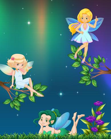 Trois fées volant dans le jardin la nuit vecteur