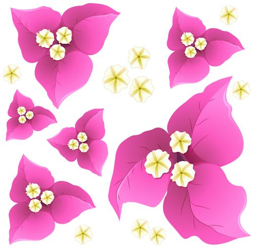 Design de fond transparente avec des fleurs de papier roses vecteur