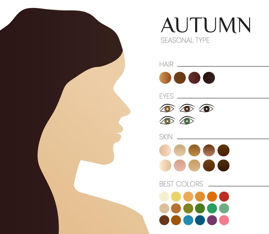 saisonnier Couleur une analyse pour l'automne taper. illustration avec femme vecteur